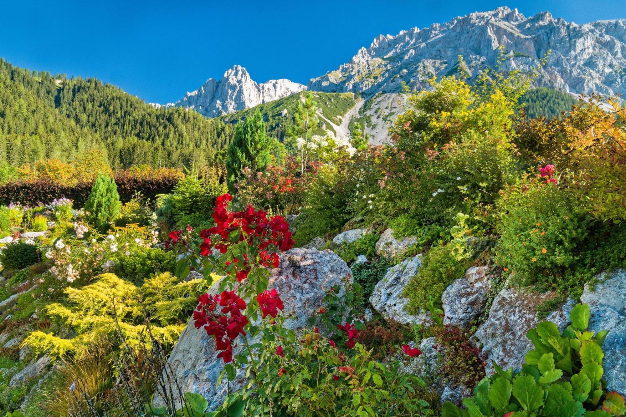 Pension Stoffenbauer Ramsau am Dachstein Exterior foto