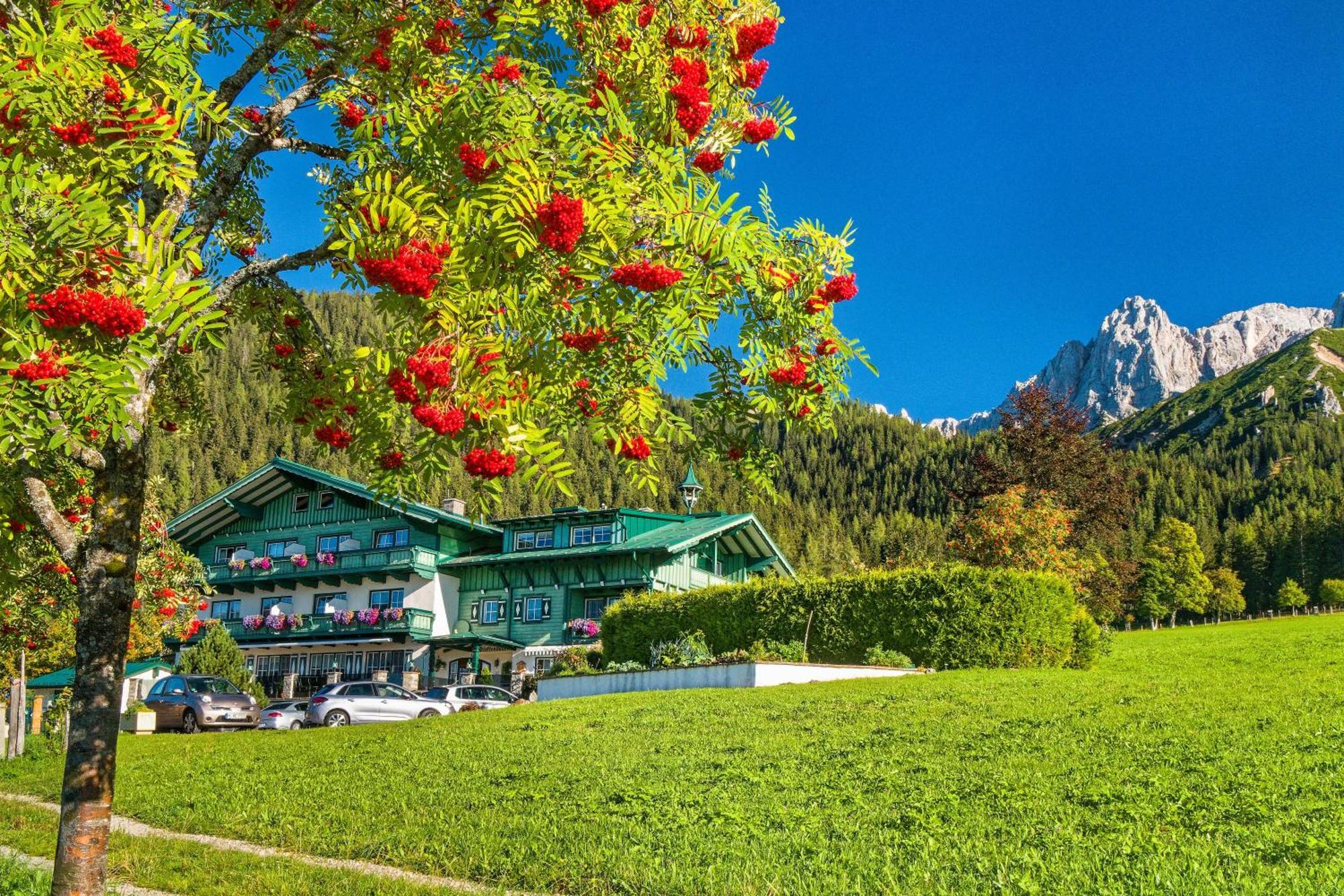 Pension Stoffenbauer Ramsau am Dachstein Exterior foto